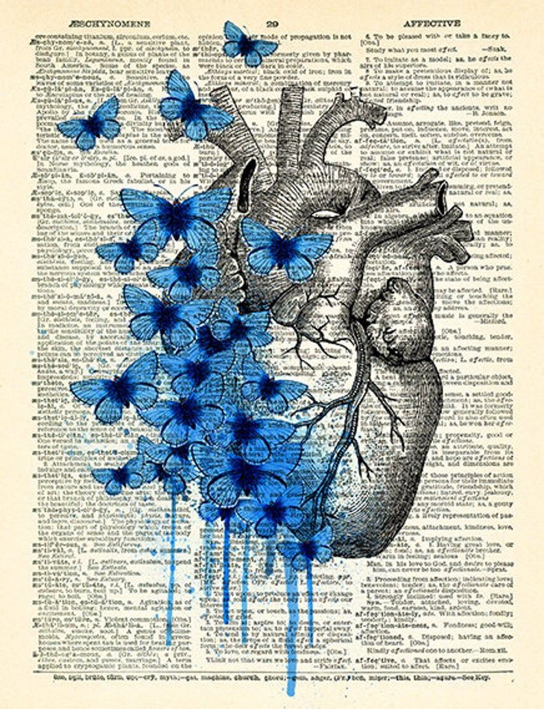 Aesthetic Anatomical Heart Wallpapers