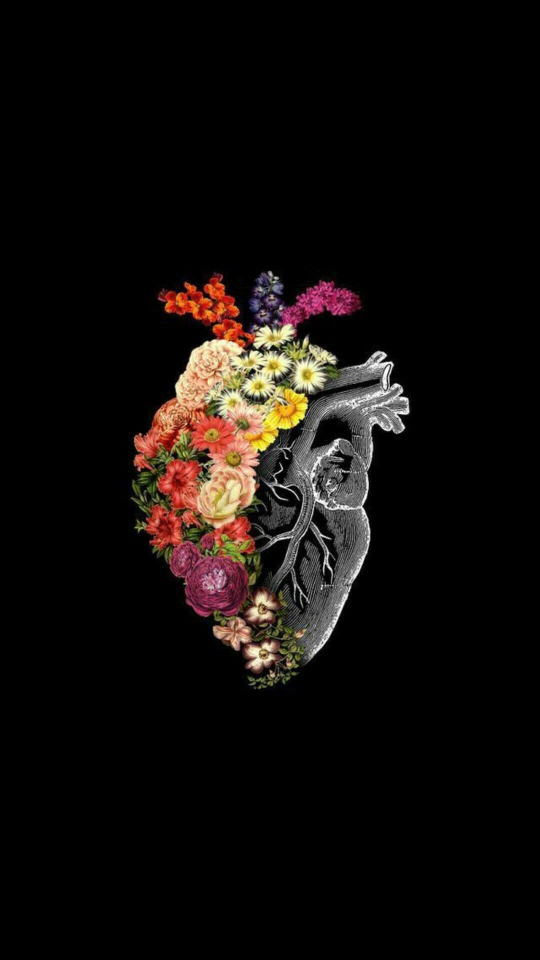 Aesthetic Anatomical Heart Wallpapers