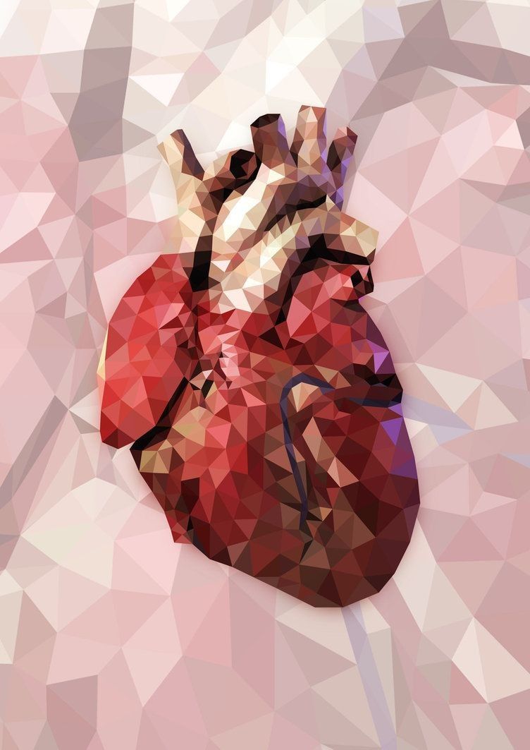 Aesthetic Anatomical Heart Wallpapers