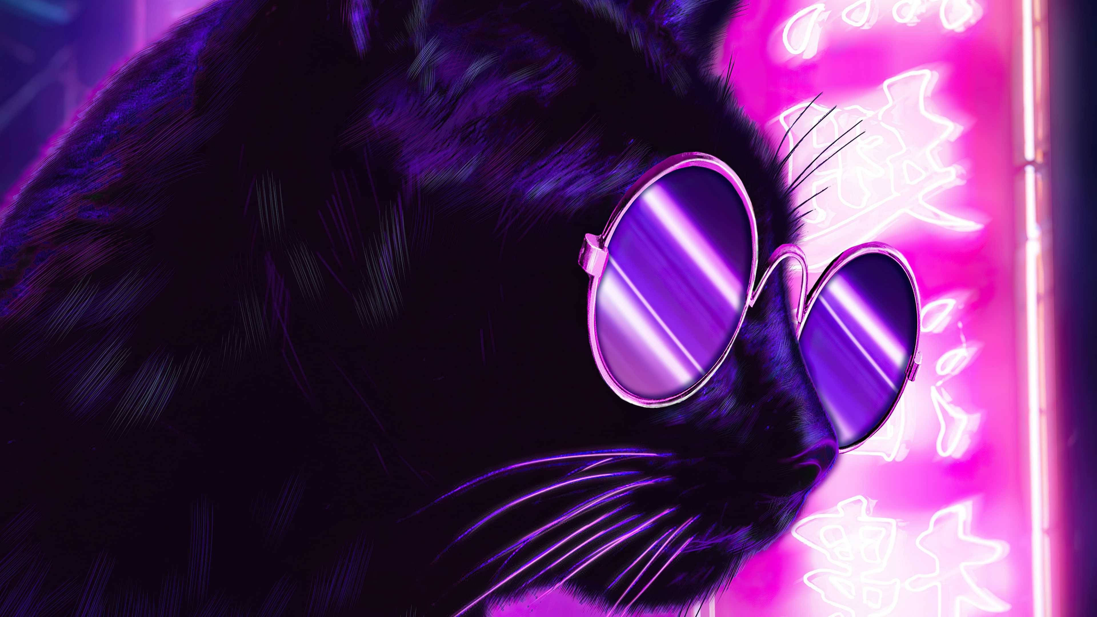 Aesthetic Black Cat Wallpapers