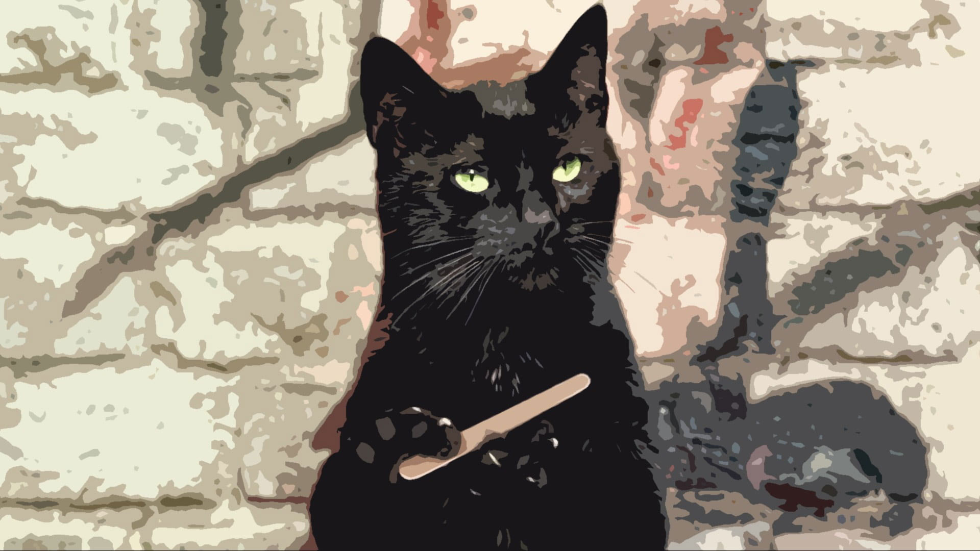 Aesthetic Black Cat Wallpapers