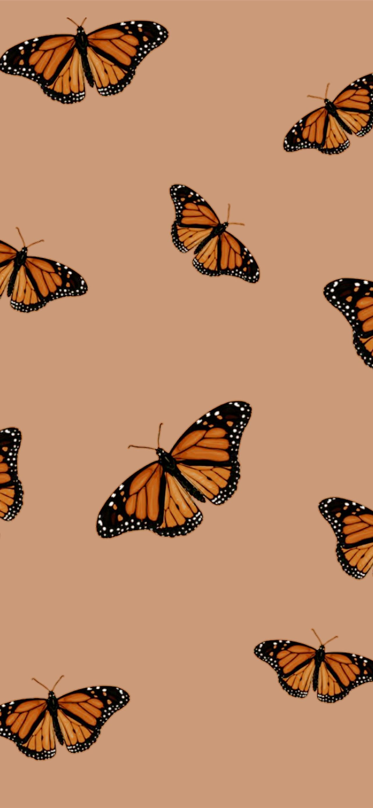 Aesthetic Butterfly Iphone Wallpapers