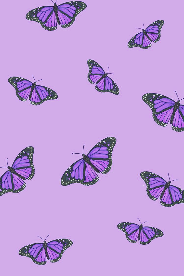 Aesthetic Butterfly Purple Wallpapers