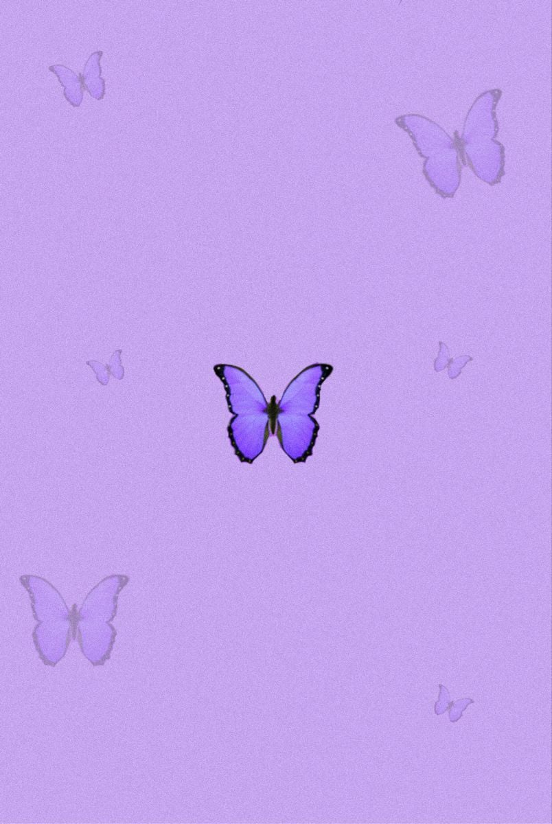 Aesthetic Butterfly Purple Wallpapers