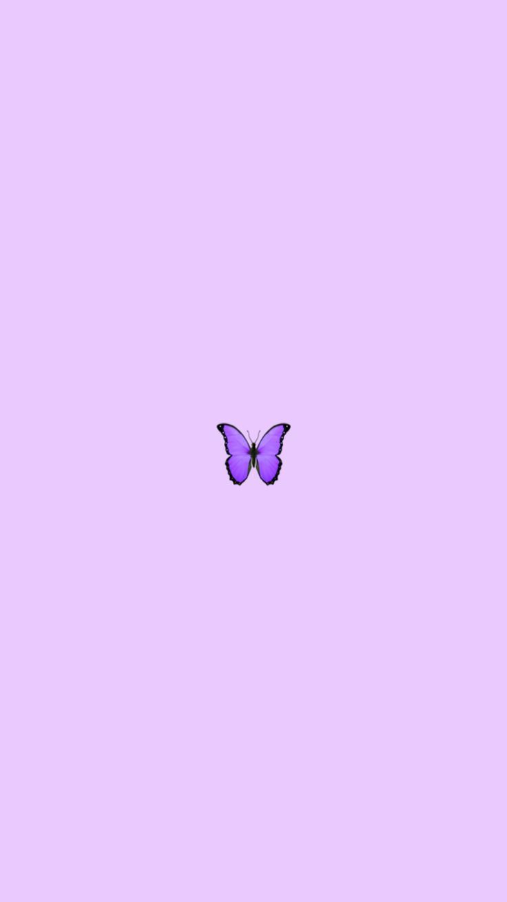 Aesthetic Butterfly Purple Wallpapers