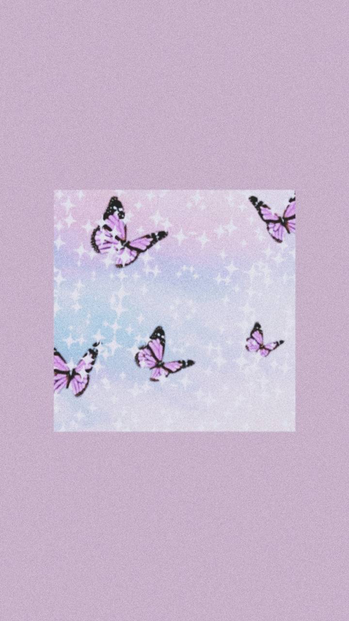 Aesthetic Butterfly Purple Wallpapers