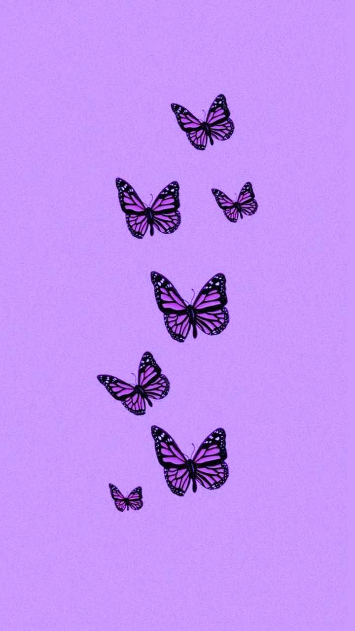 Aesthetic Butterfly Purple Wallpapers