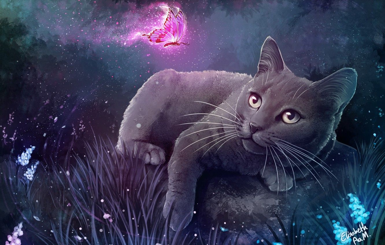 Aesthetic Cat Art Wallpapers