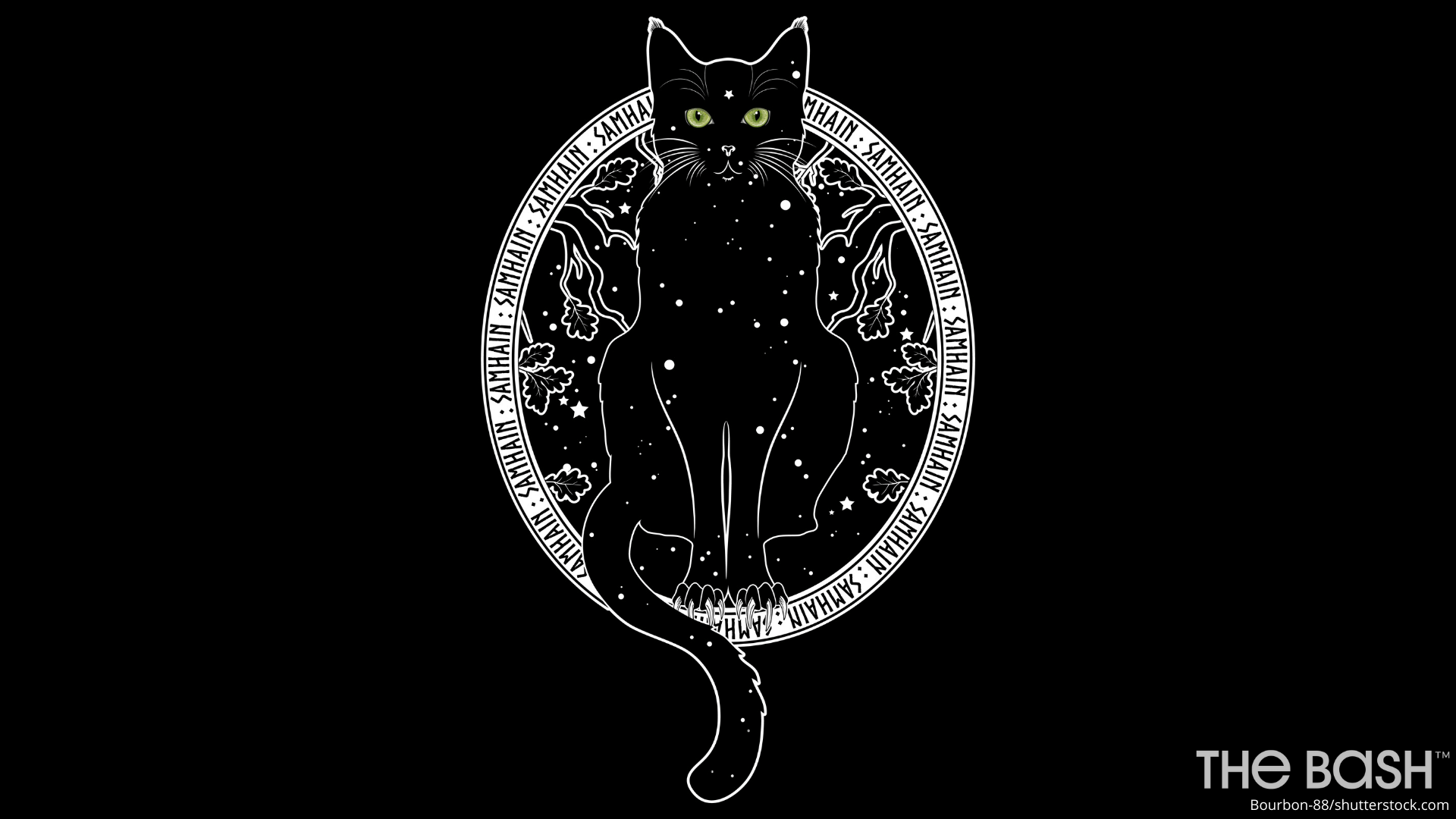 Aesthetic Cat Art Wallpapers