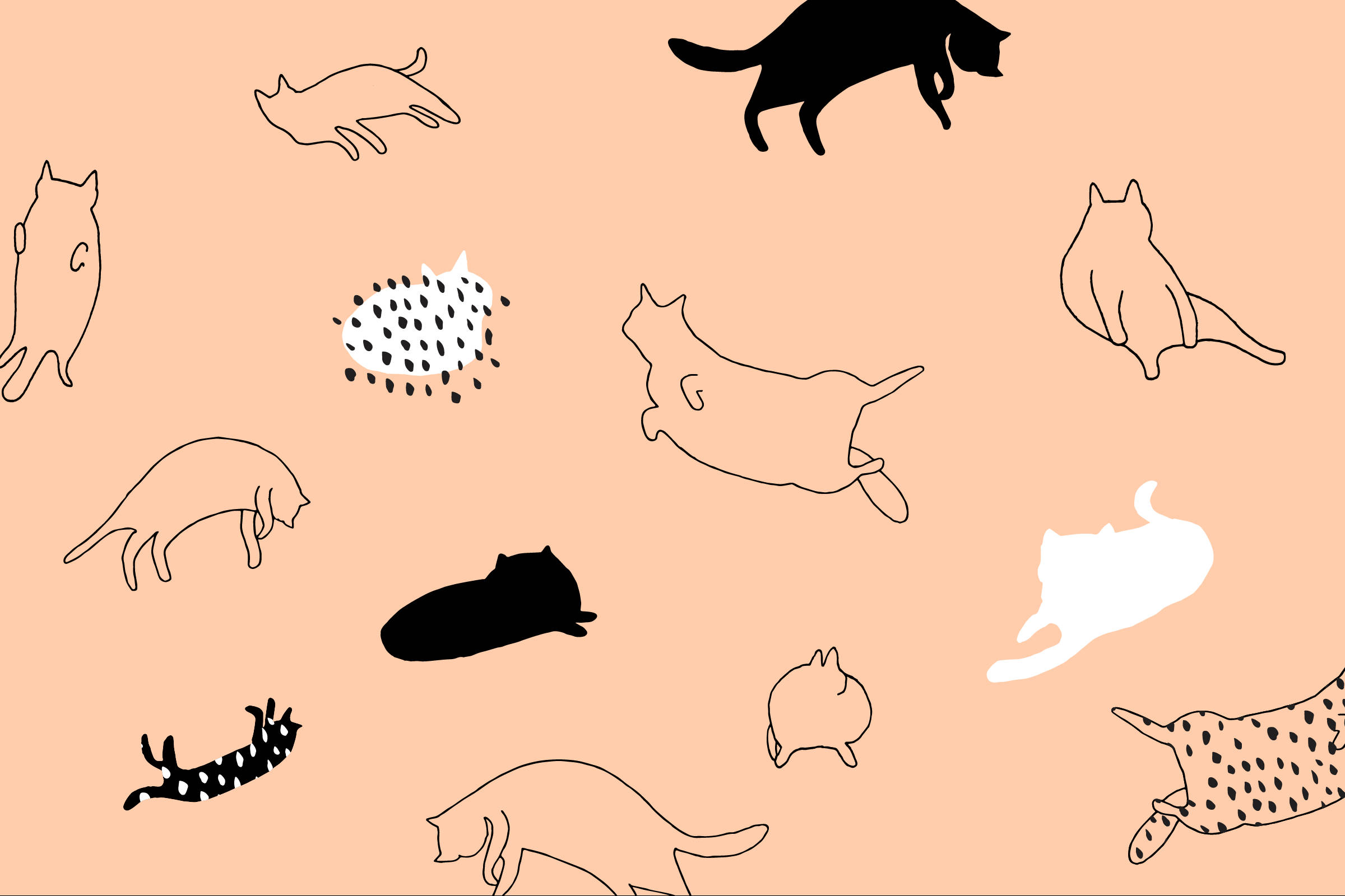 Aesthetic Cat Art Wallpapers