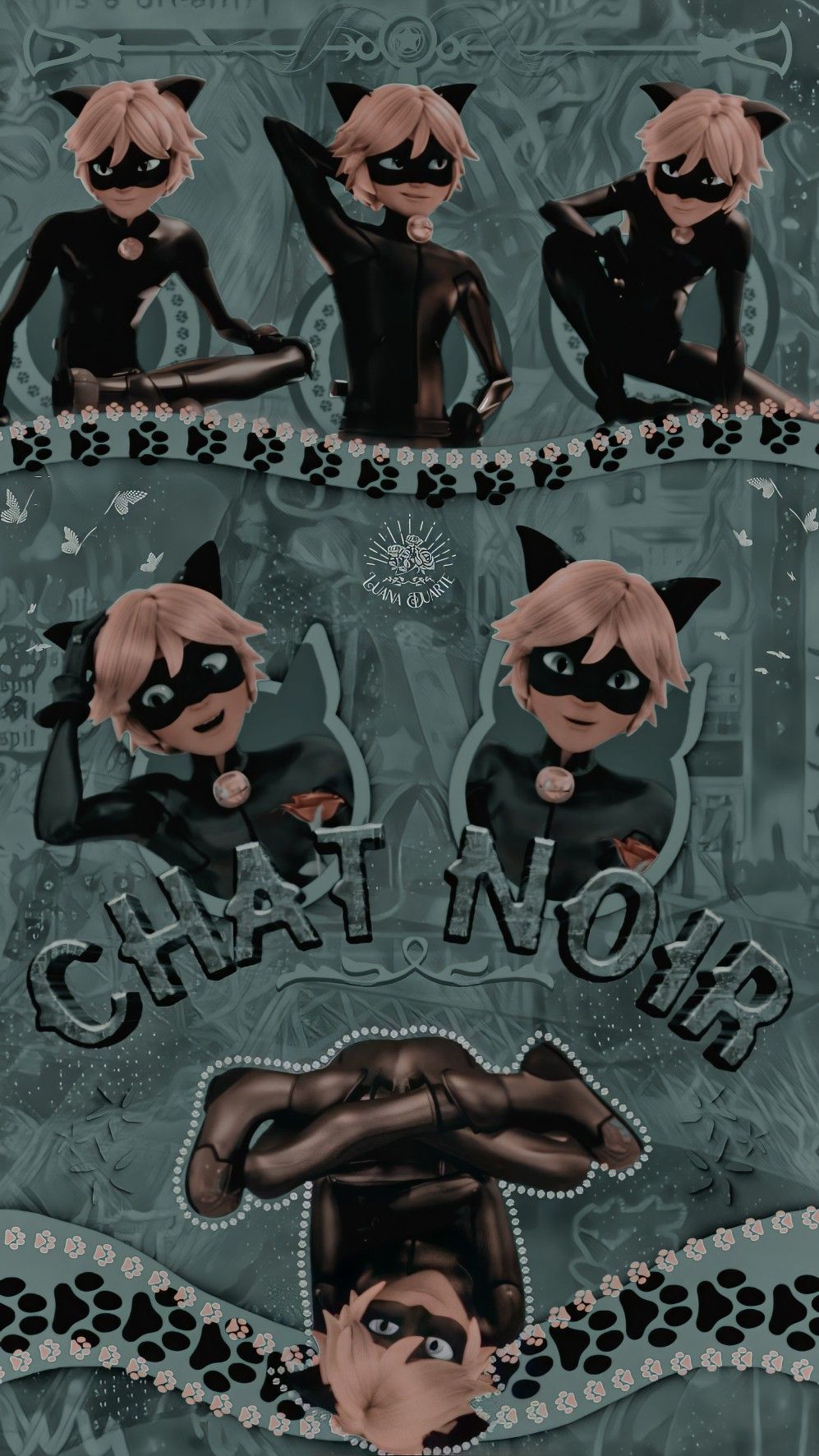 Aesthetic Chat Noir Wallpapers