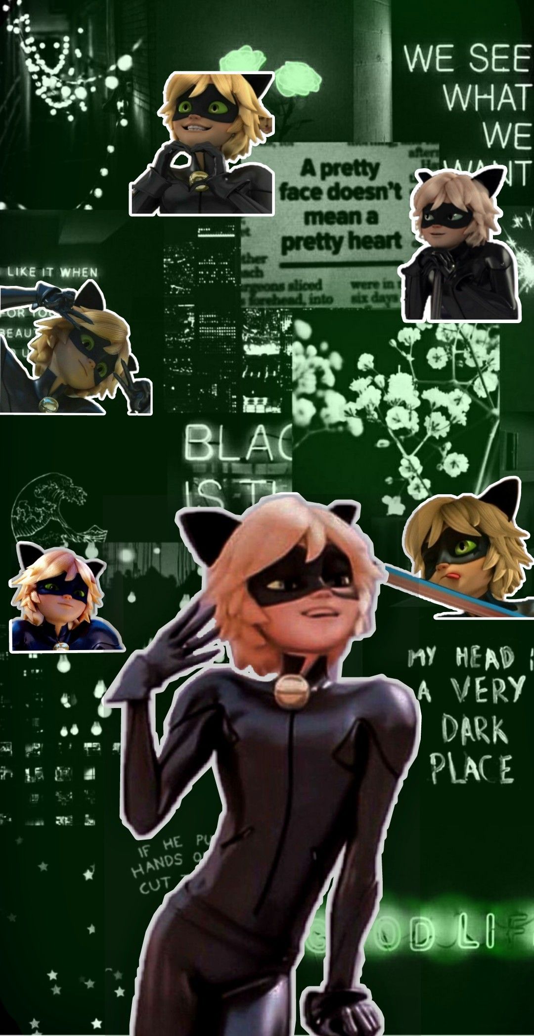 Aesthetic Chat Noir Wallpapers