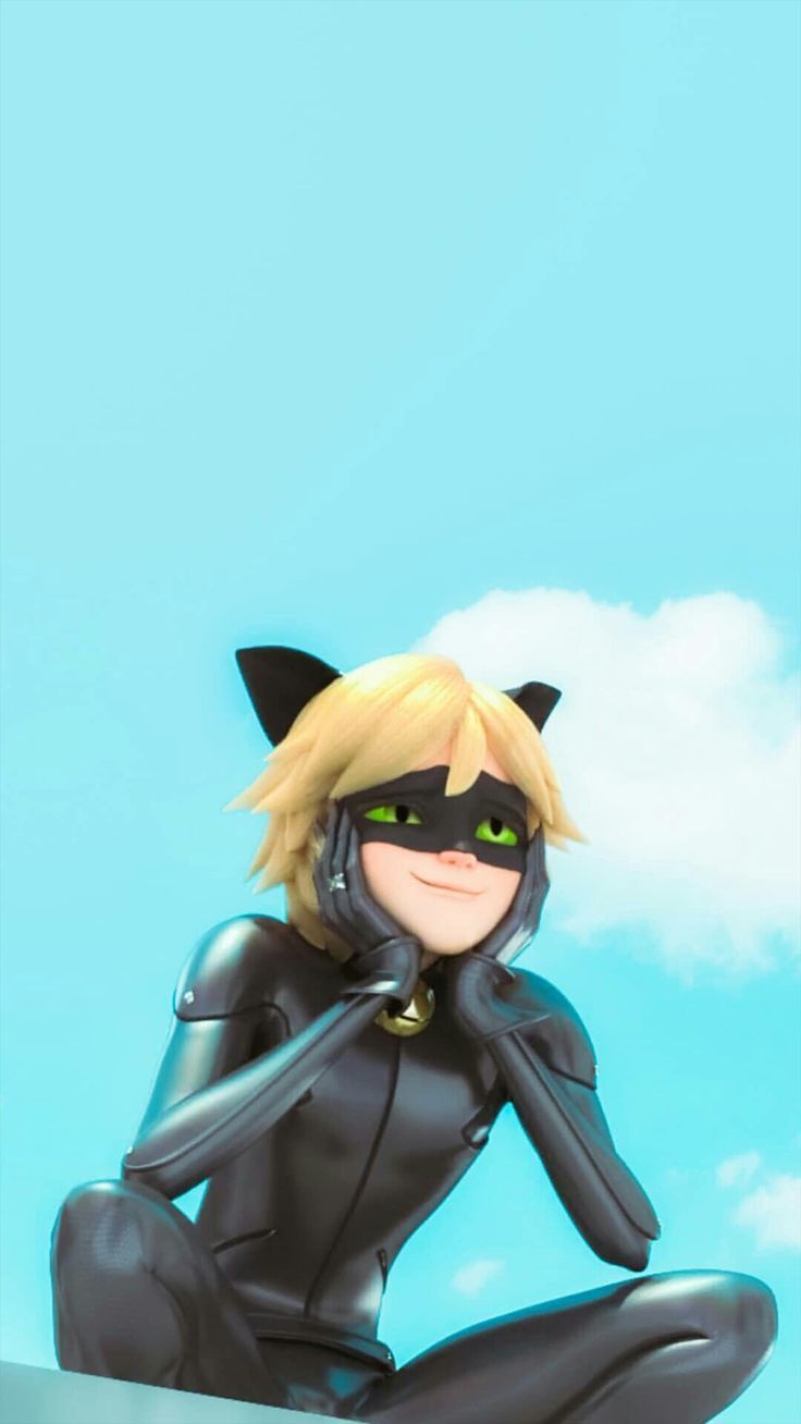 Aesthetic Chat Noir Wallpapers