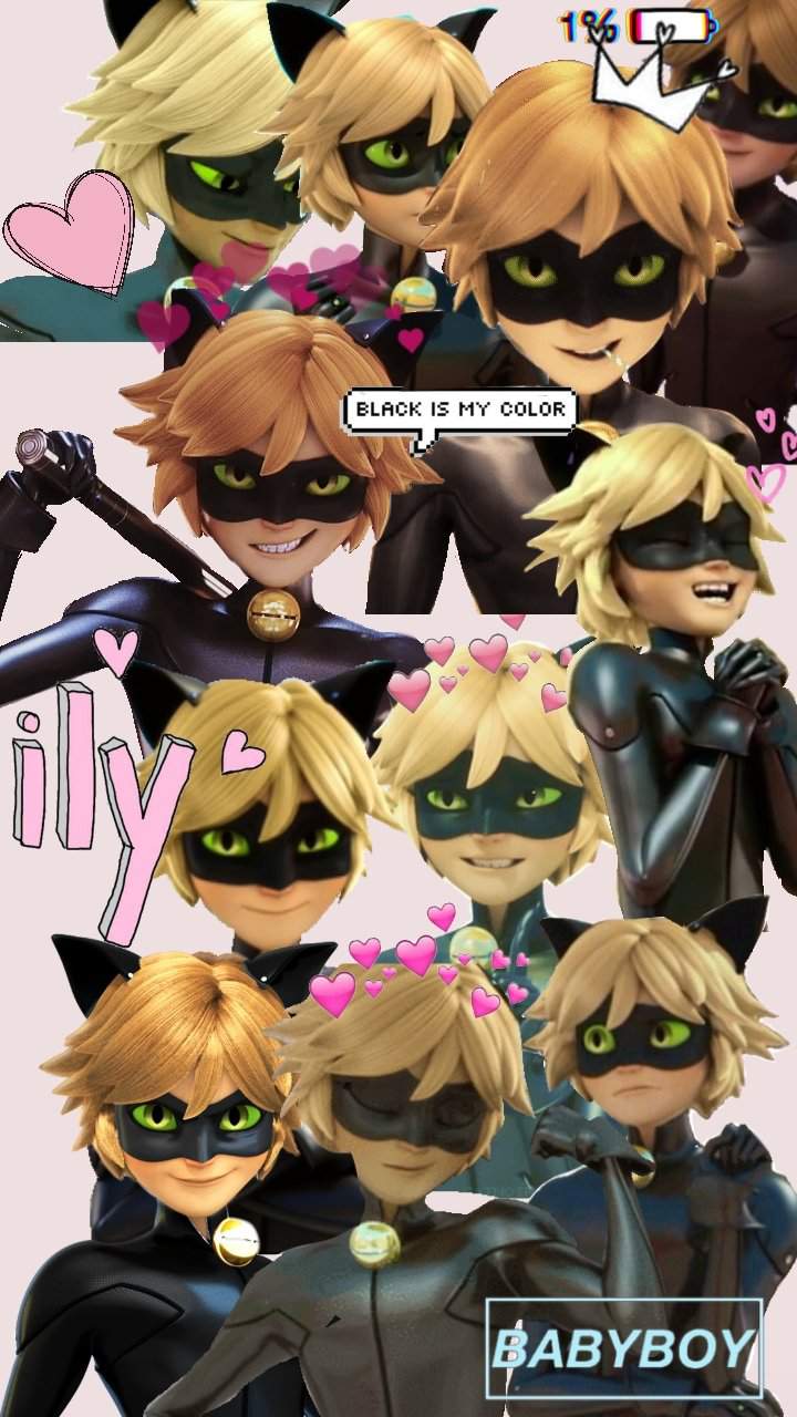 Aesthetic Chat Noir Wallpapers