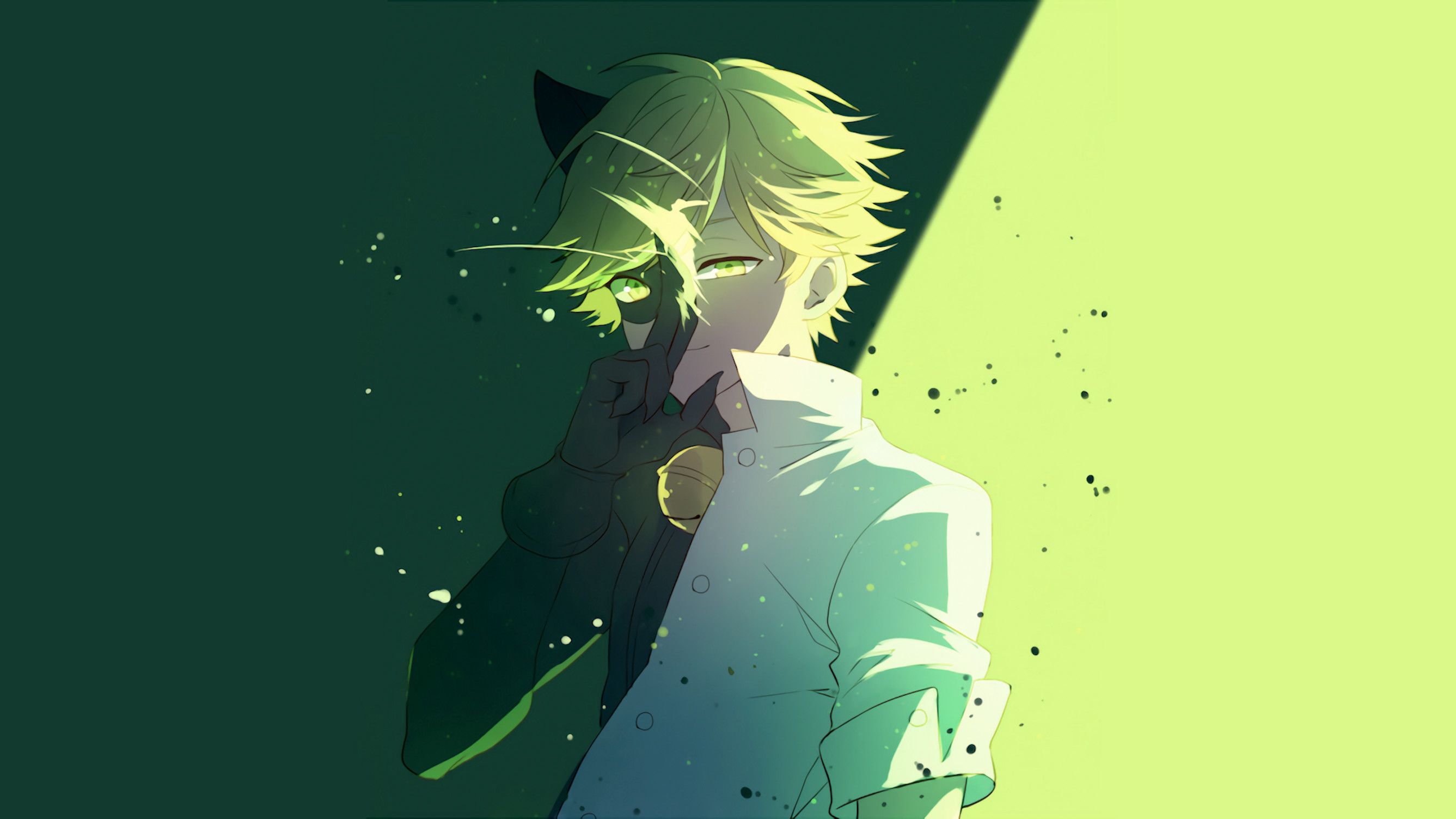 Aesthetic Chat Noir Wallpapers