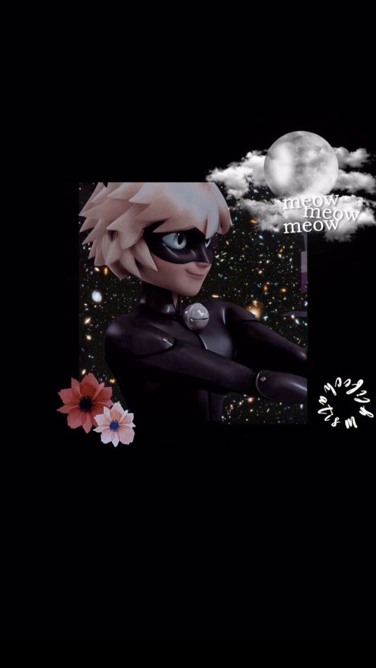 Aesthetic Chat Noir Wallpapers