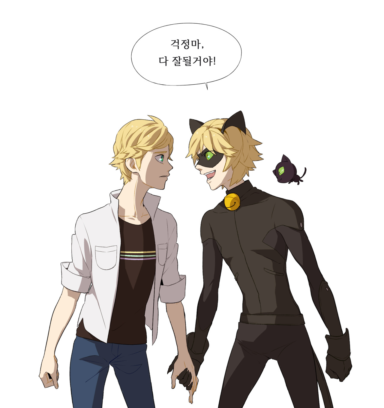 Aesthetic Chat Noir Wallpapers