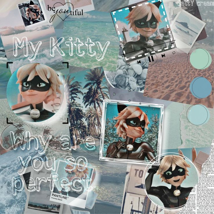 Aesthetic Chat Noir Wallpapers