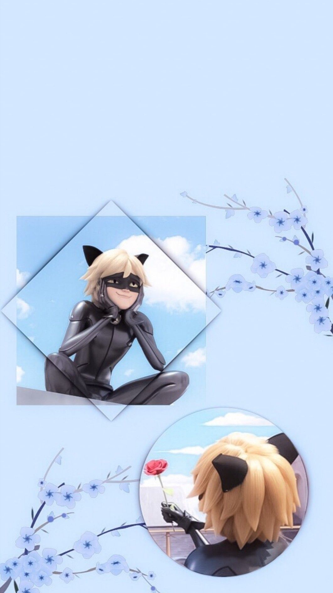 Aesthetic Chat Noir Wallpapers