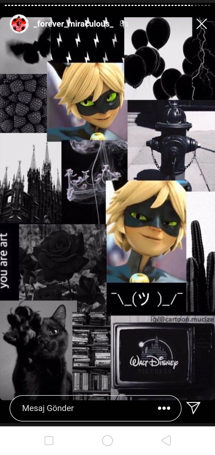 Aesthetic Chat Noir Wallpapers