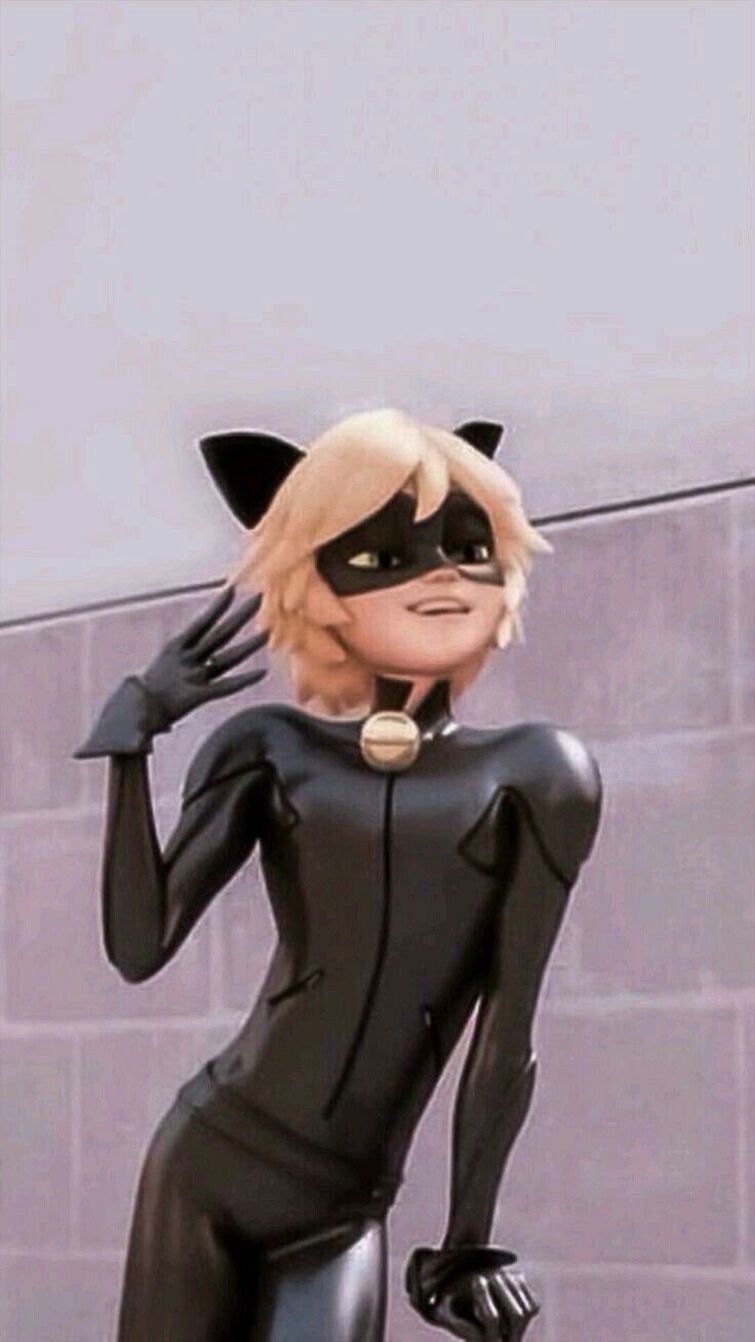 Aesthetic Chat Noir Wallpapers