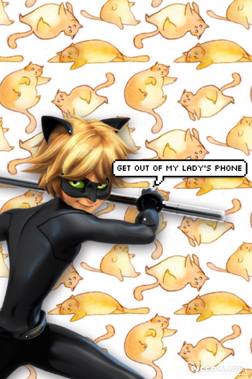 Aesthetic Chat Noir Wallpapers