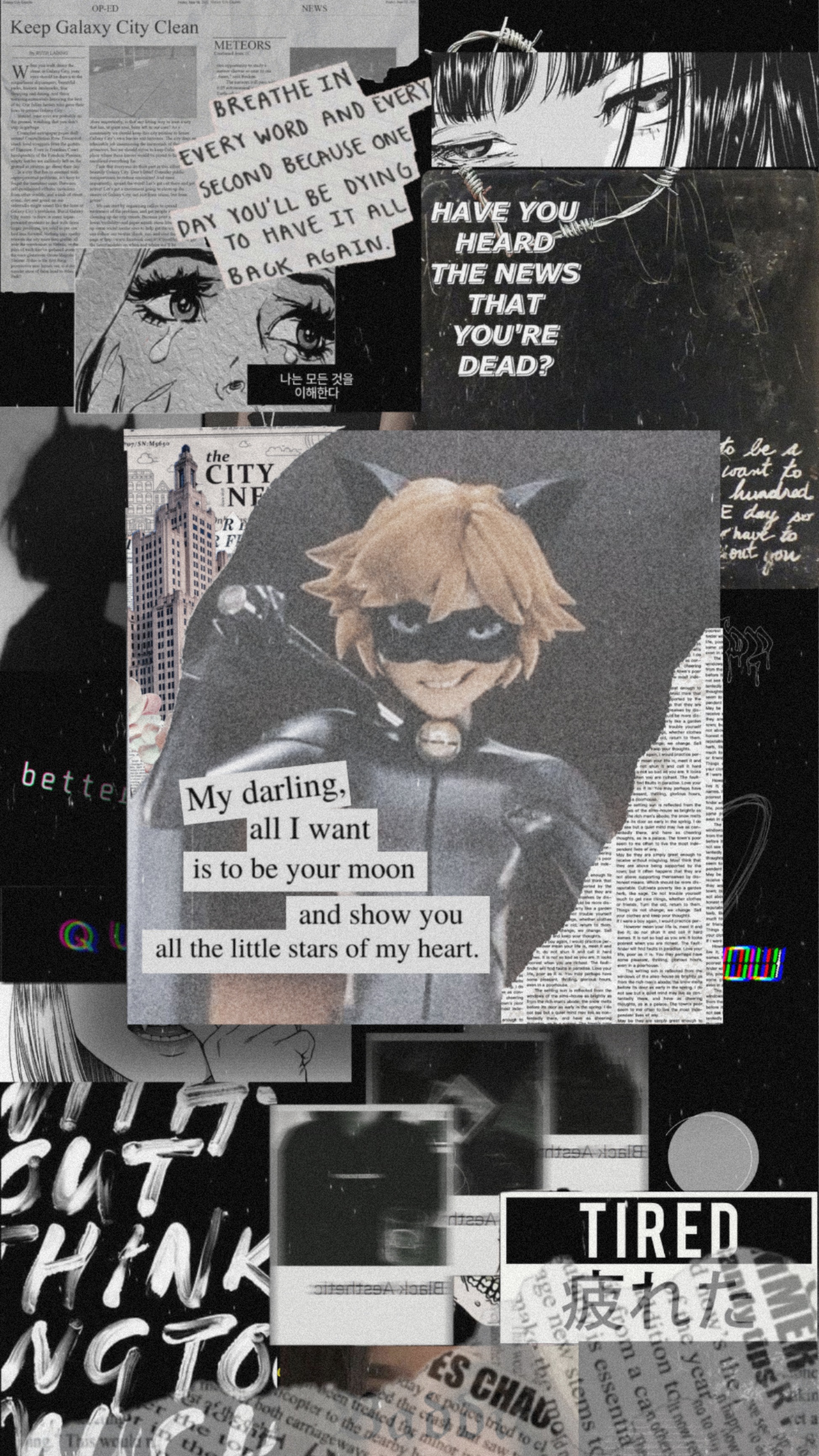 Aesthetic Chat Noir Wallpapers