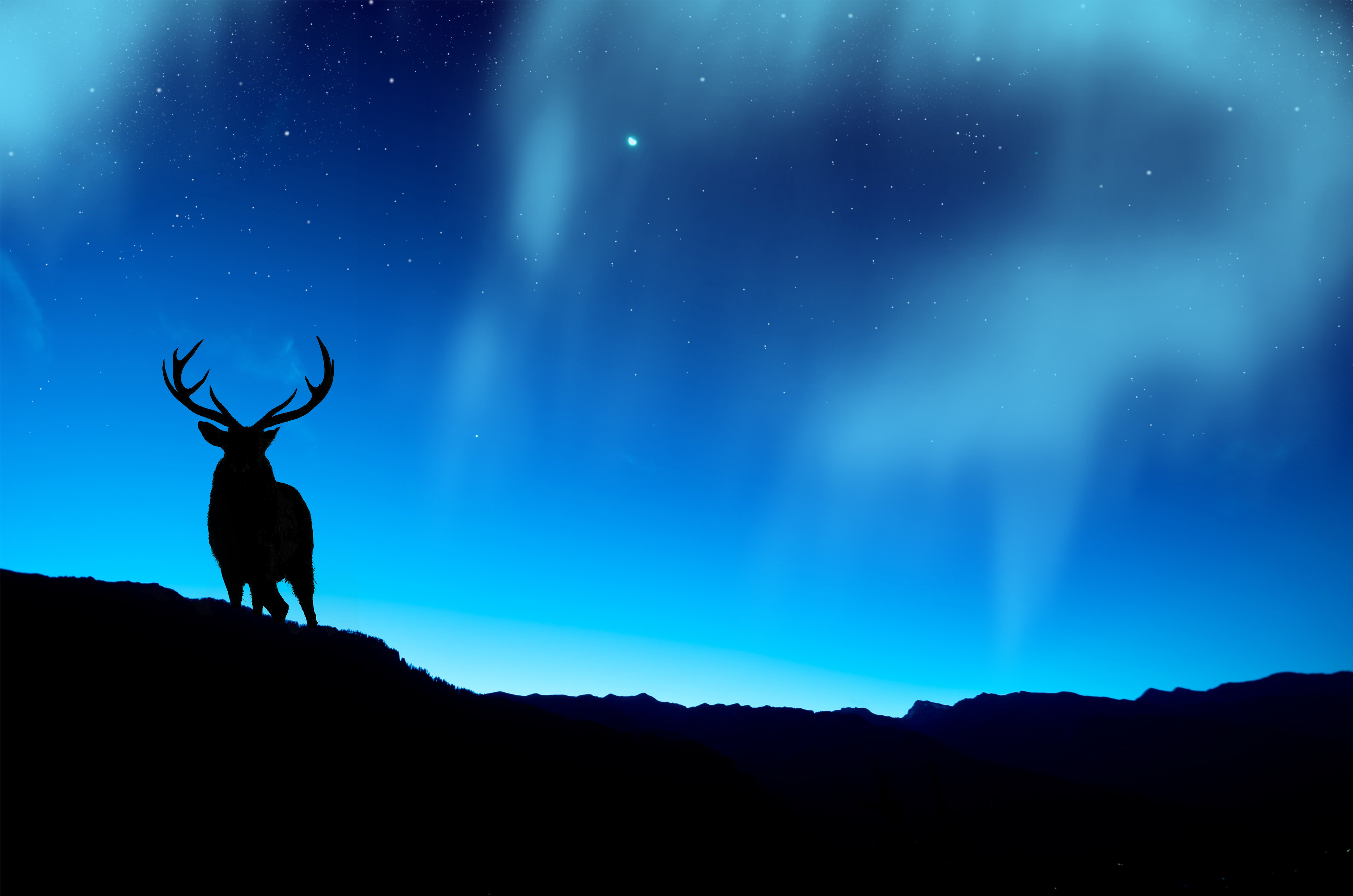 Aesthetic Deer Wallpapers