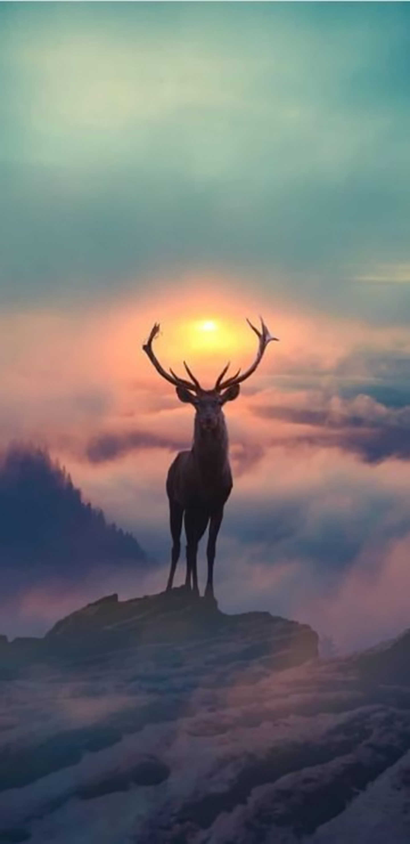 Aesthetic Deer Wallpapers