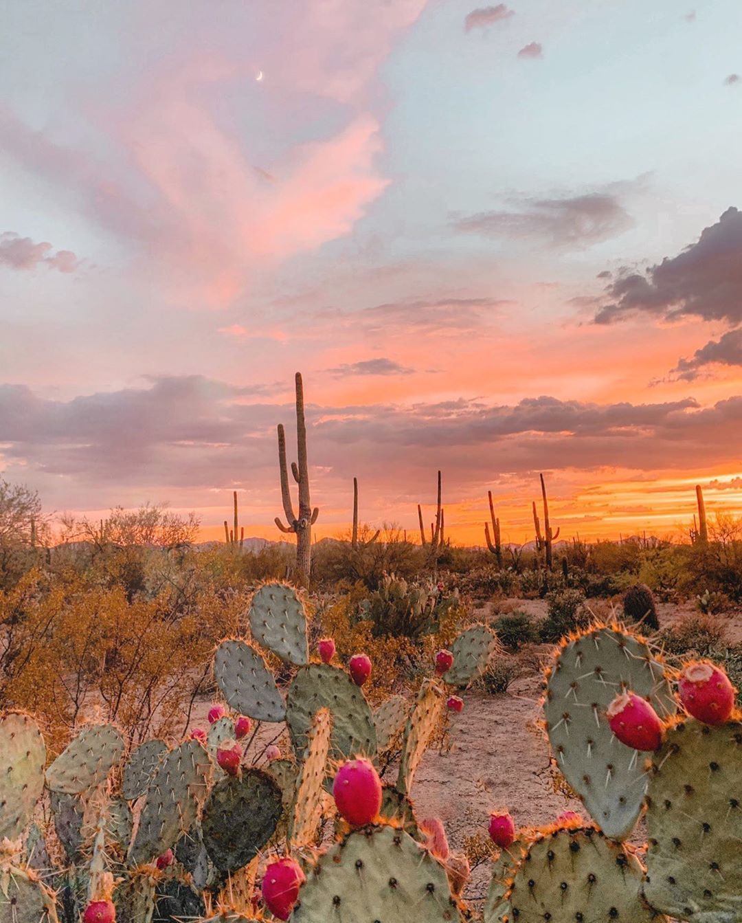 Aesthetic Desert Wallpapers