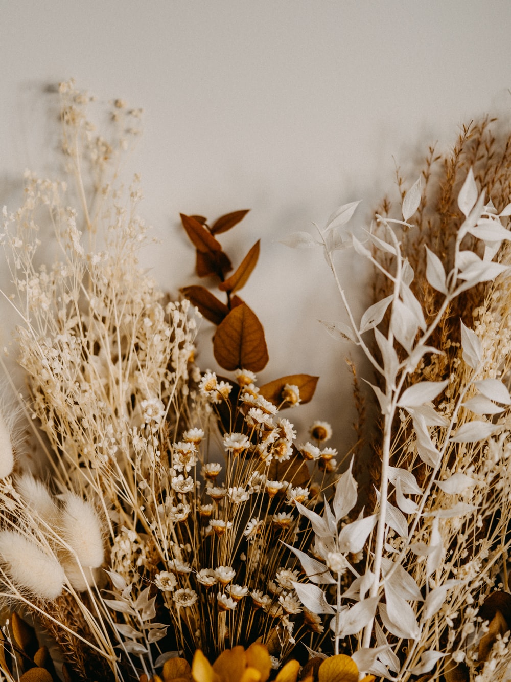 Aesthetic Dried Flower Wallpapers