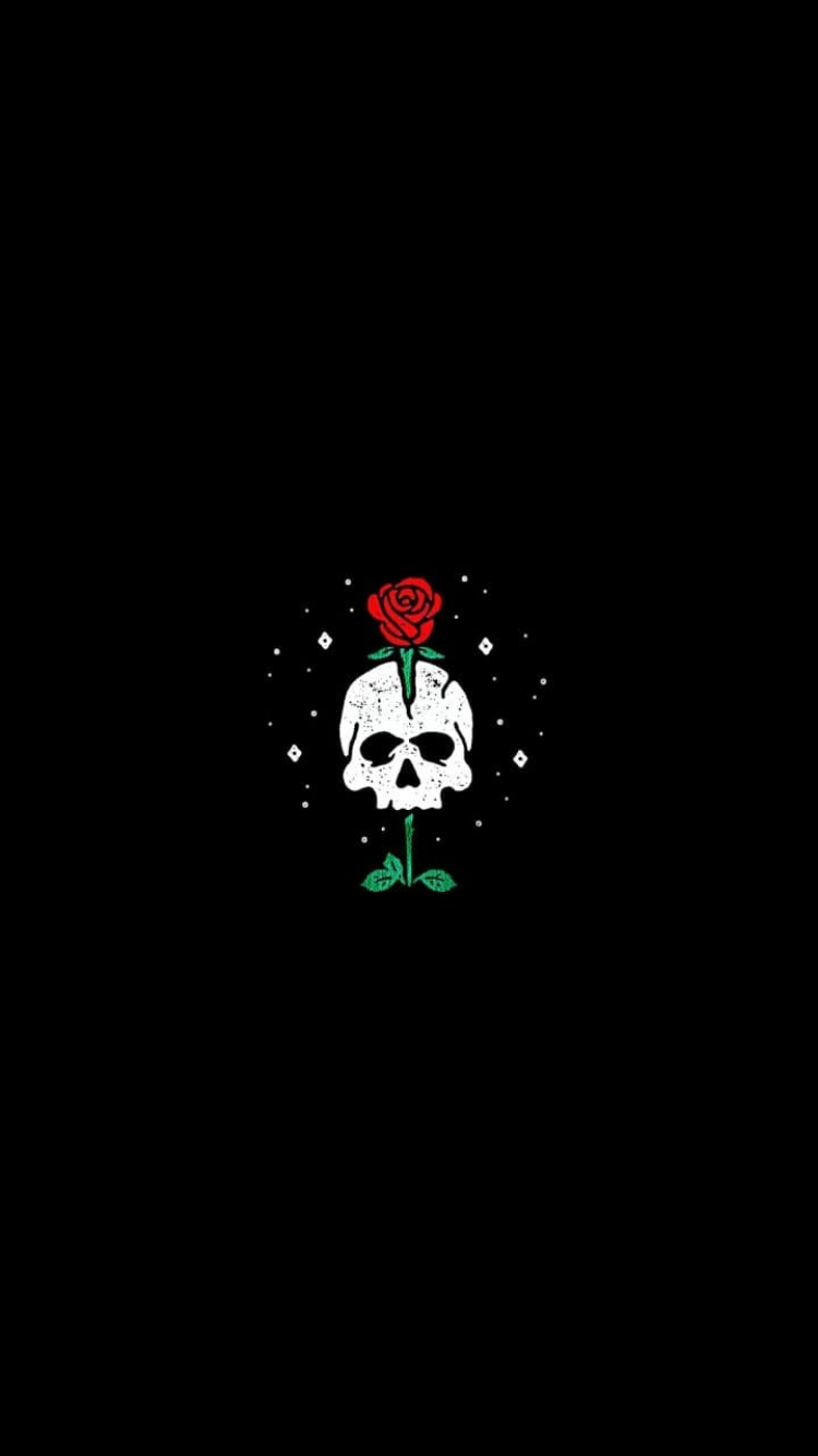 Aesthetic Emo Skull Wallpapers