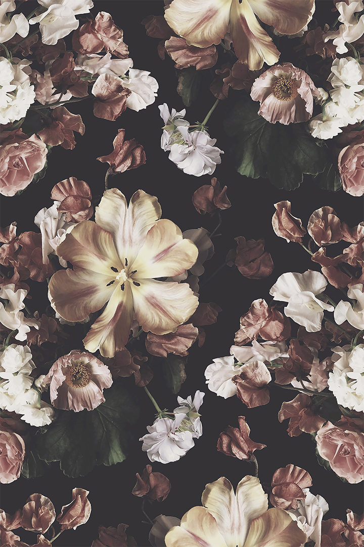 Aesthetic Flower Dark Wallpapers