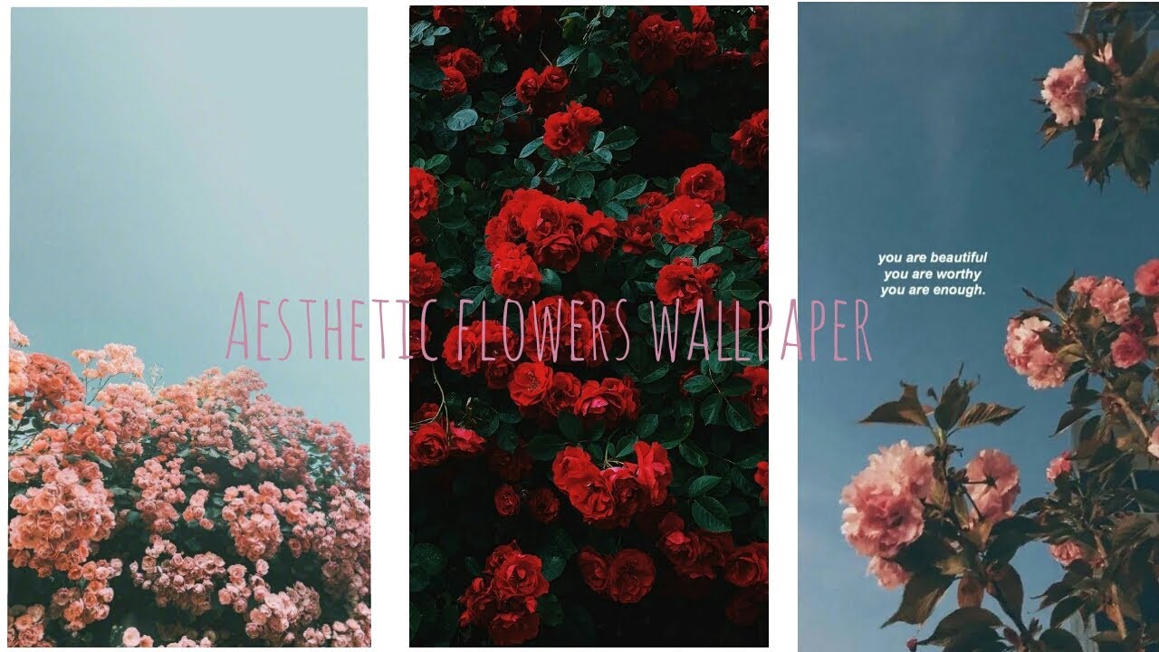 Aesthetic Flowers Wallpapers