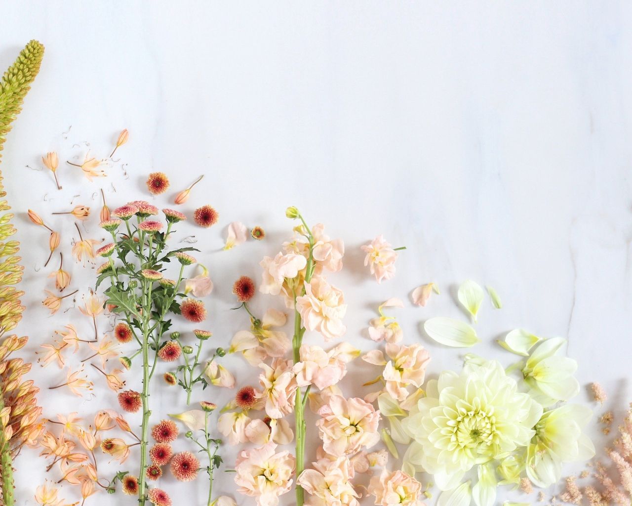Aesthetic Flowers Wallpapers