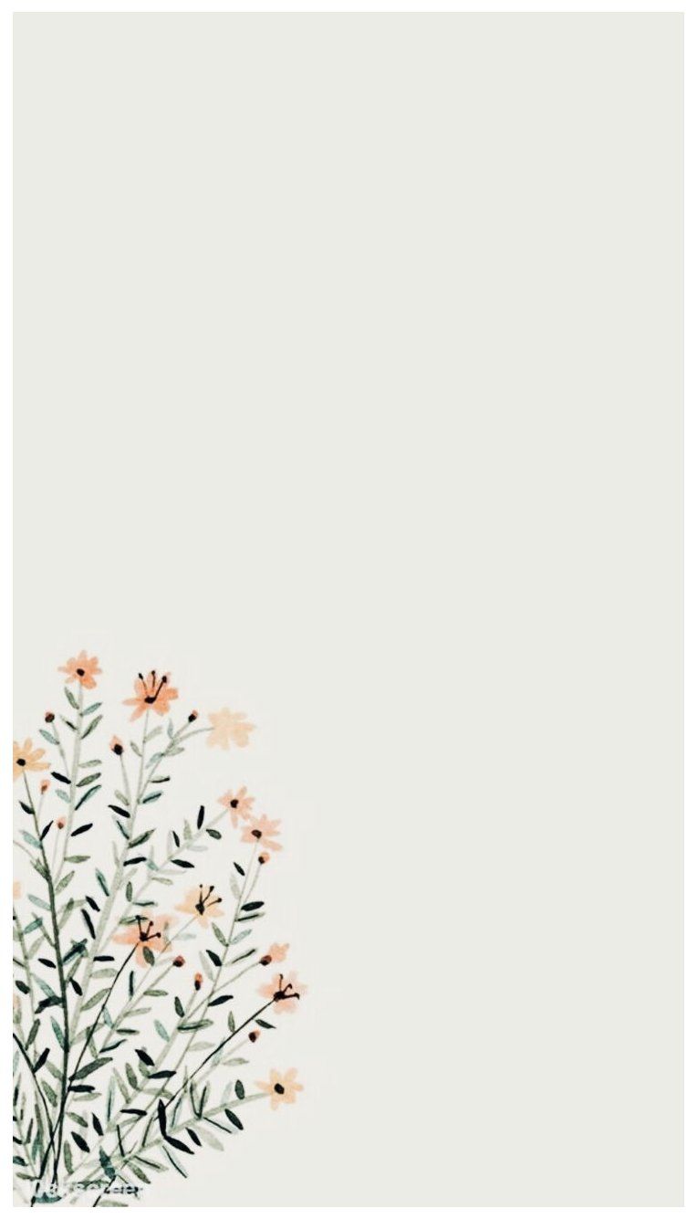 Aesthetic Flowers Iphone Wallpapers