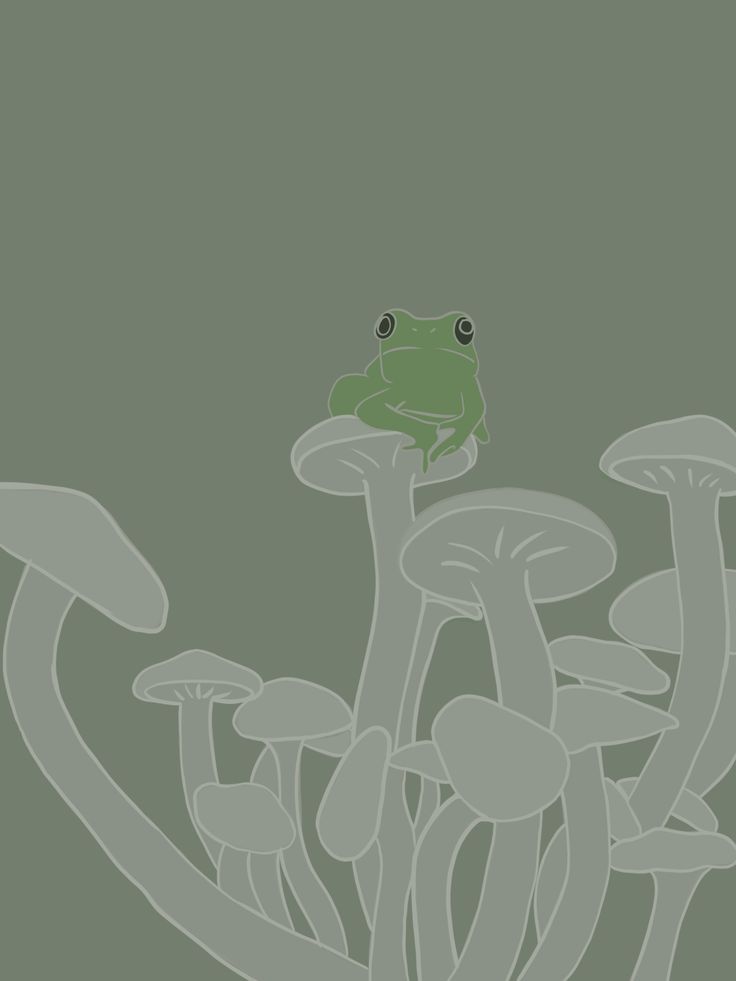 Aesthetic Frog Wallpapers