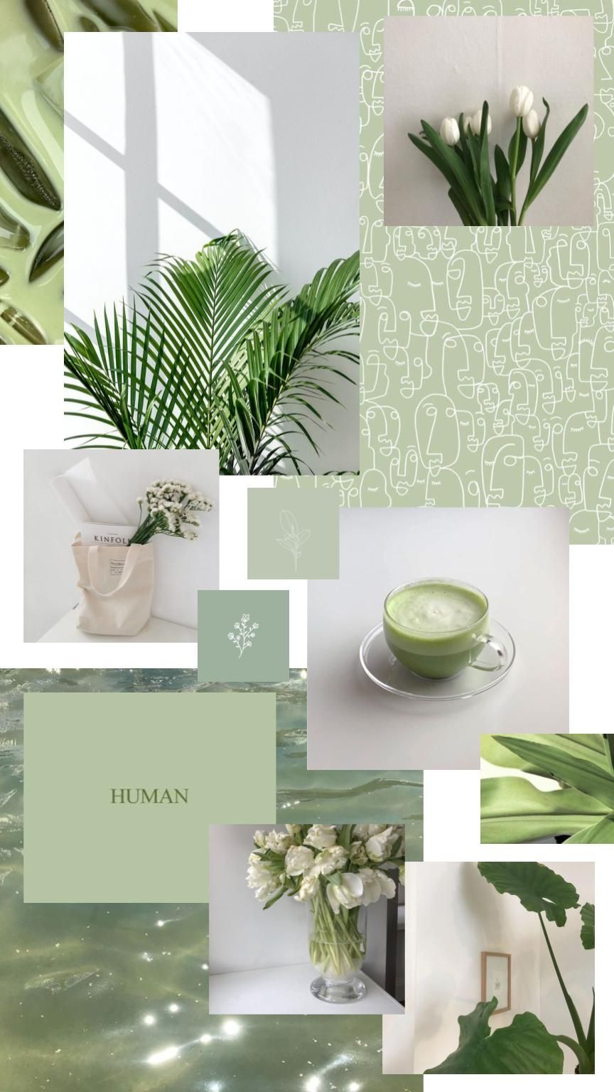 Aesthetic Green Wallpapers