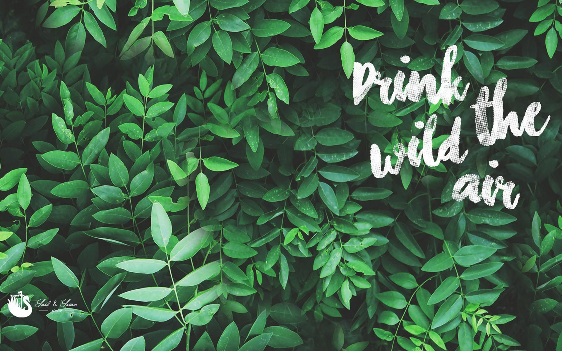 Aesthetic Green Wallpapers