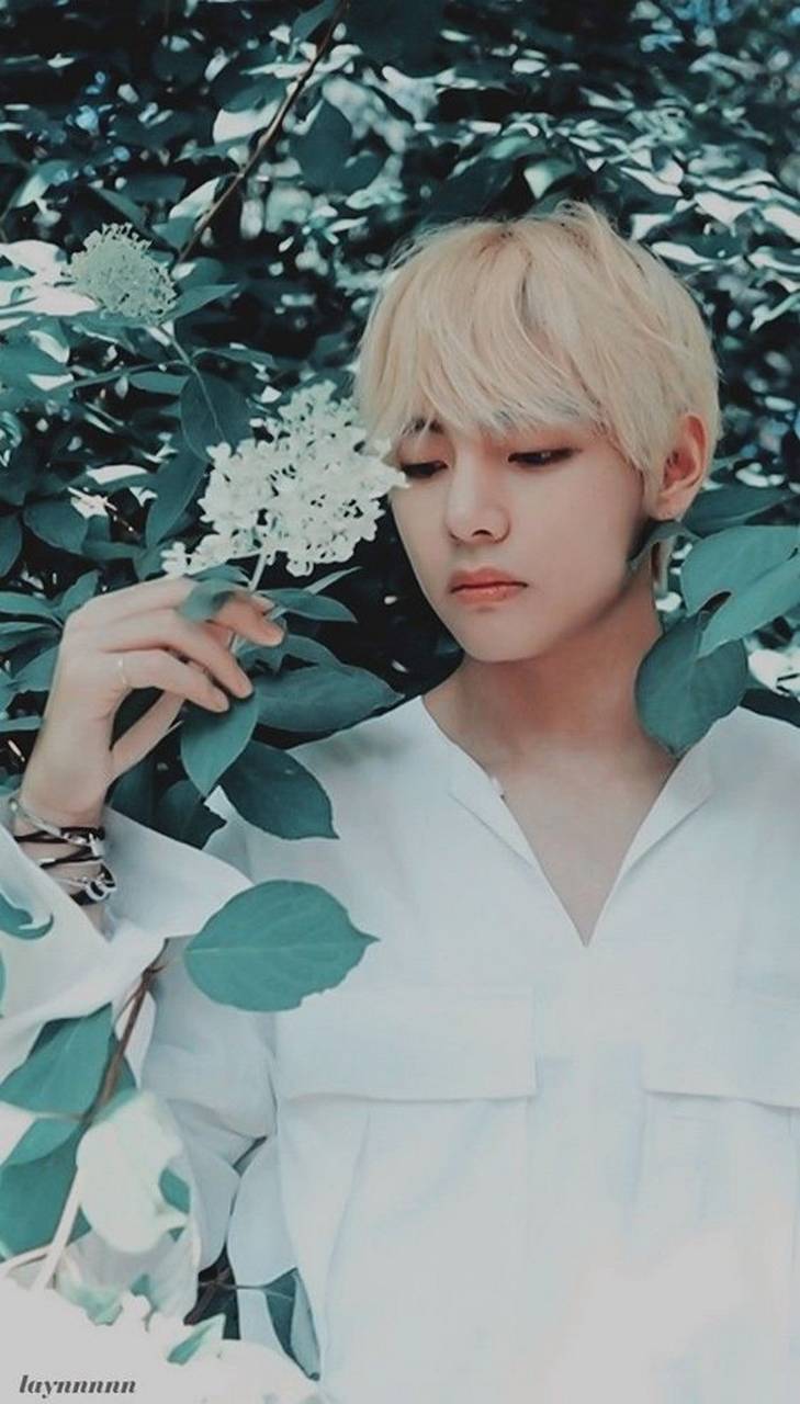 Aesthetic Kim Taehyung Wallpapers