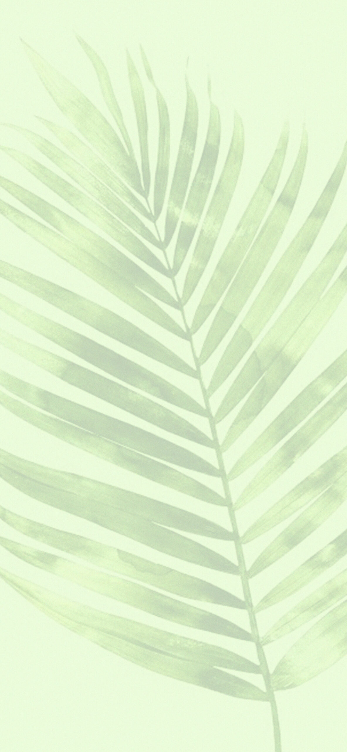 Aesthetic Light Green Wallpapers