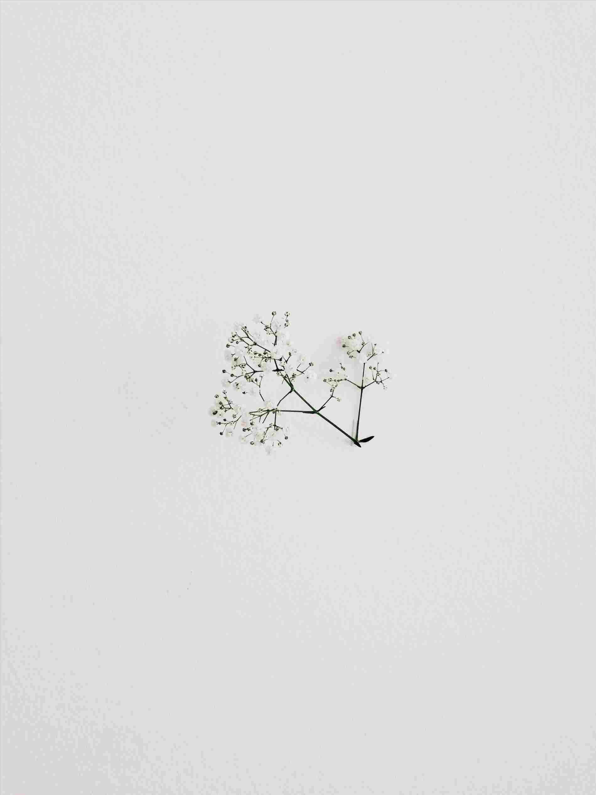 Aesthetic Minimalist Drawings Wallpapers