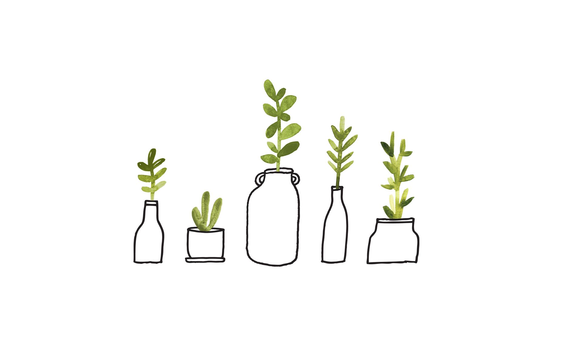 Aesthetic Minimalist Plant Desktop Wallpapers