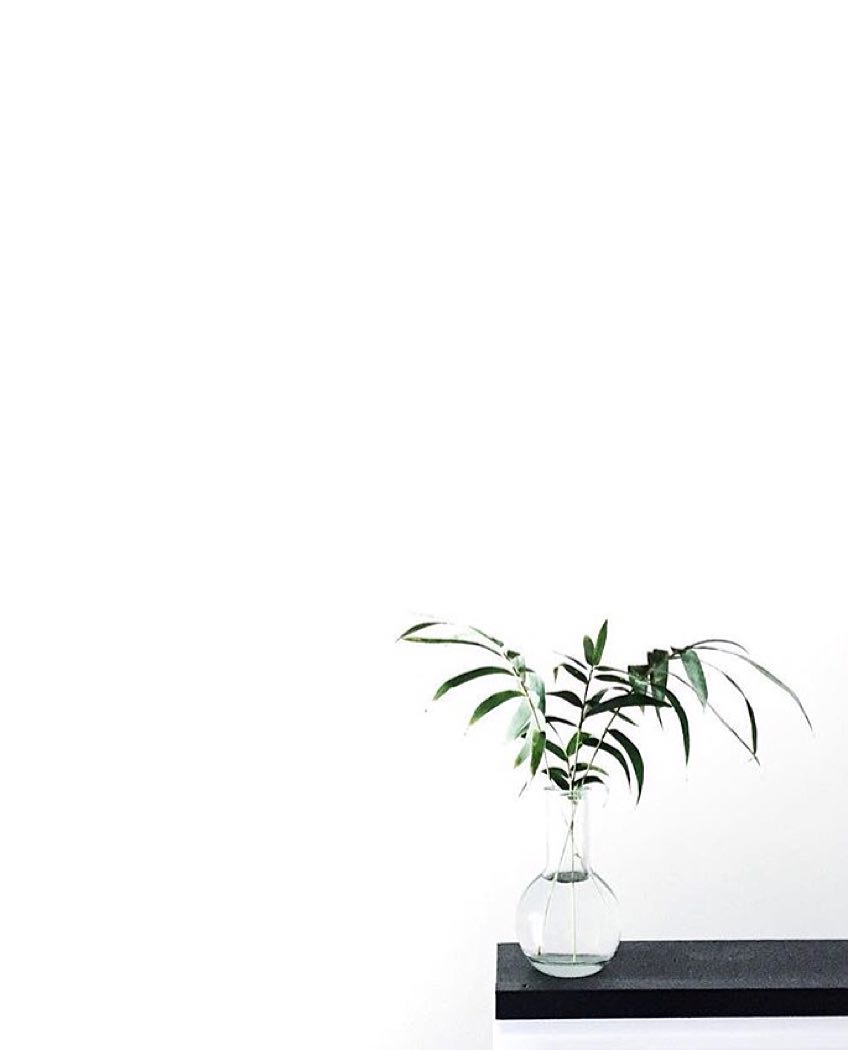 Aesthetic Minimalist Plant Desktop Wallpapers