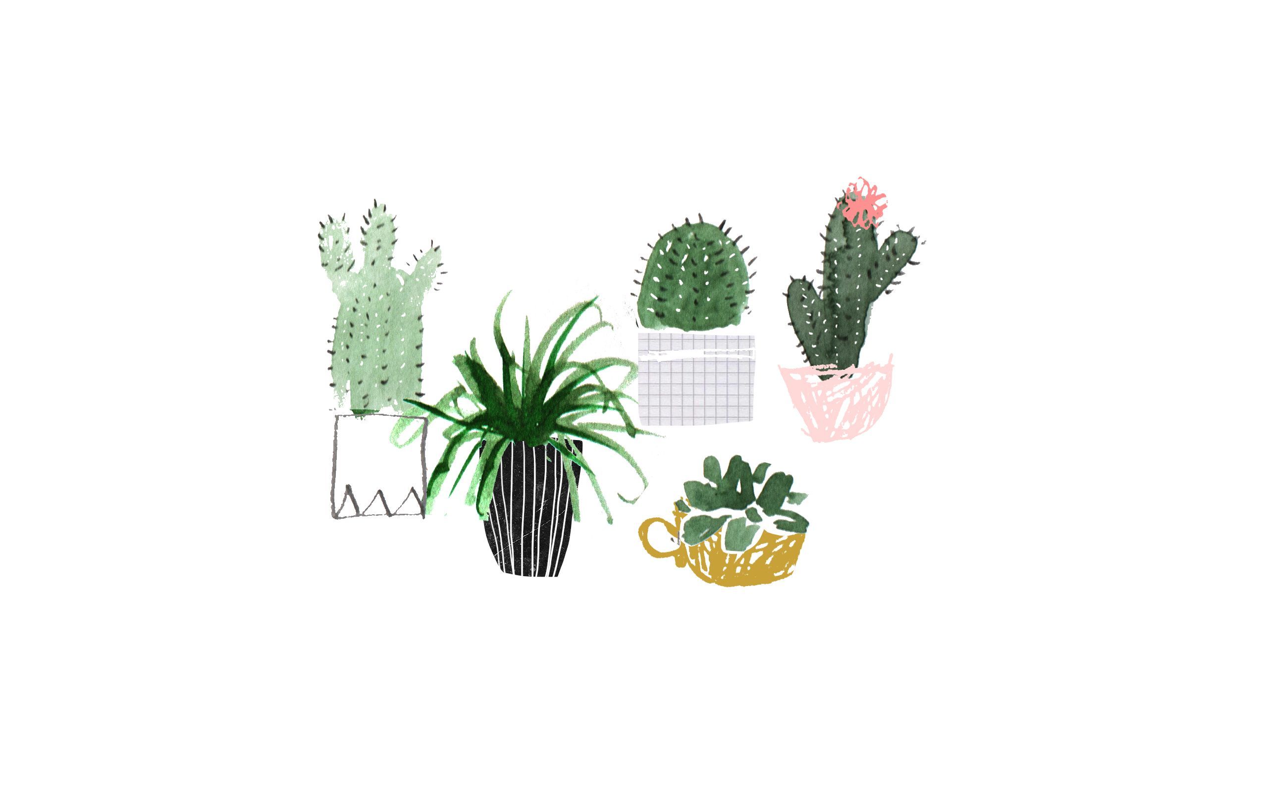 Aesthetic Minimalist Plant Desktop Wallpapers