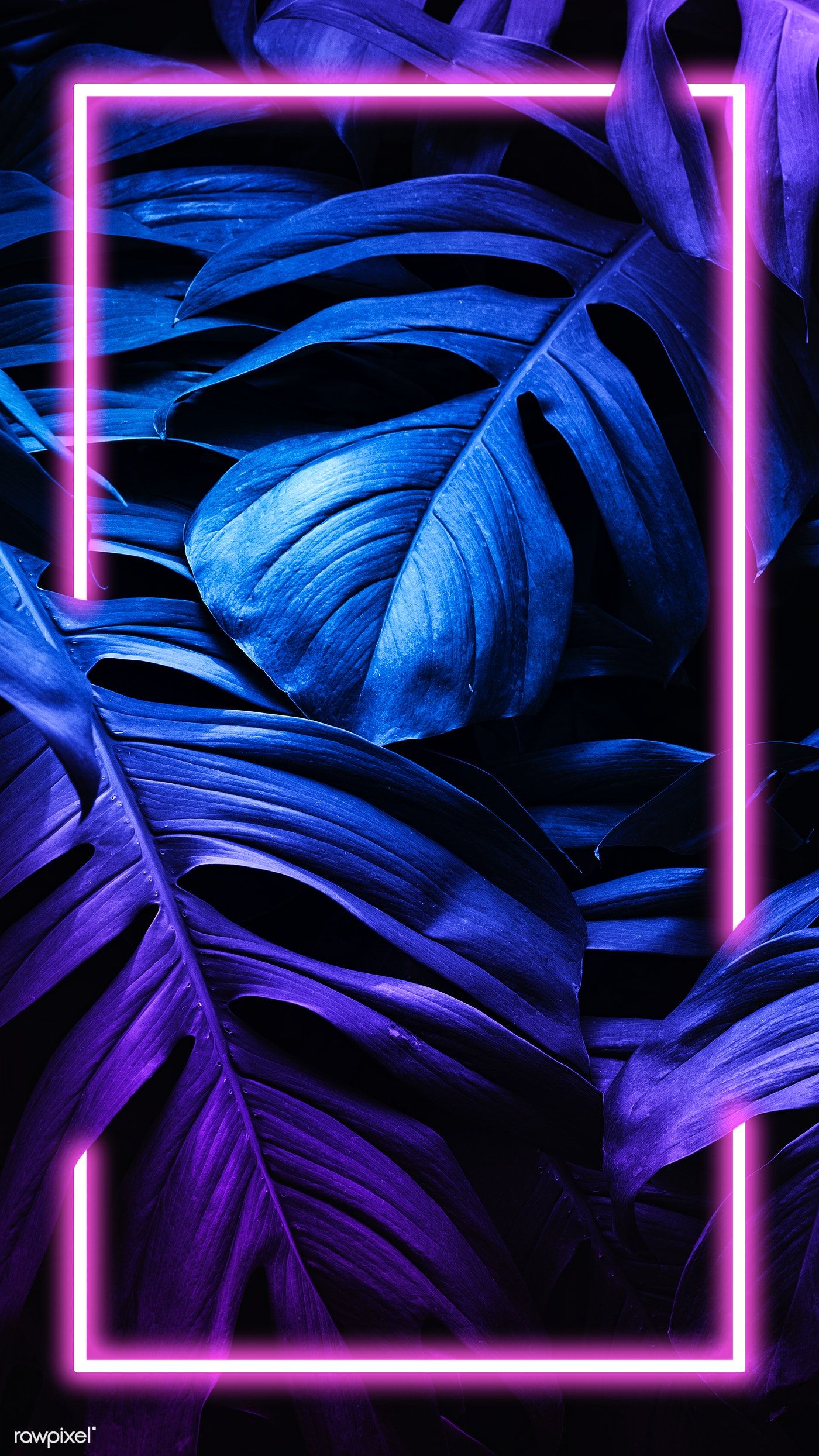 Aesthetic Neon Iphone Wallpapers