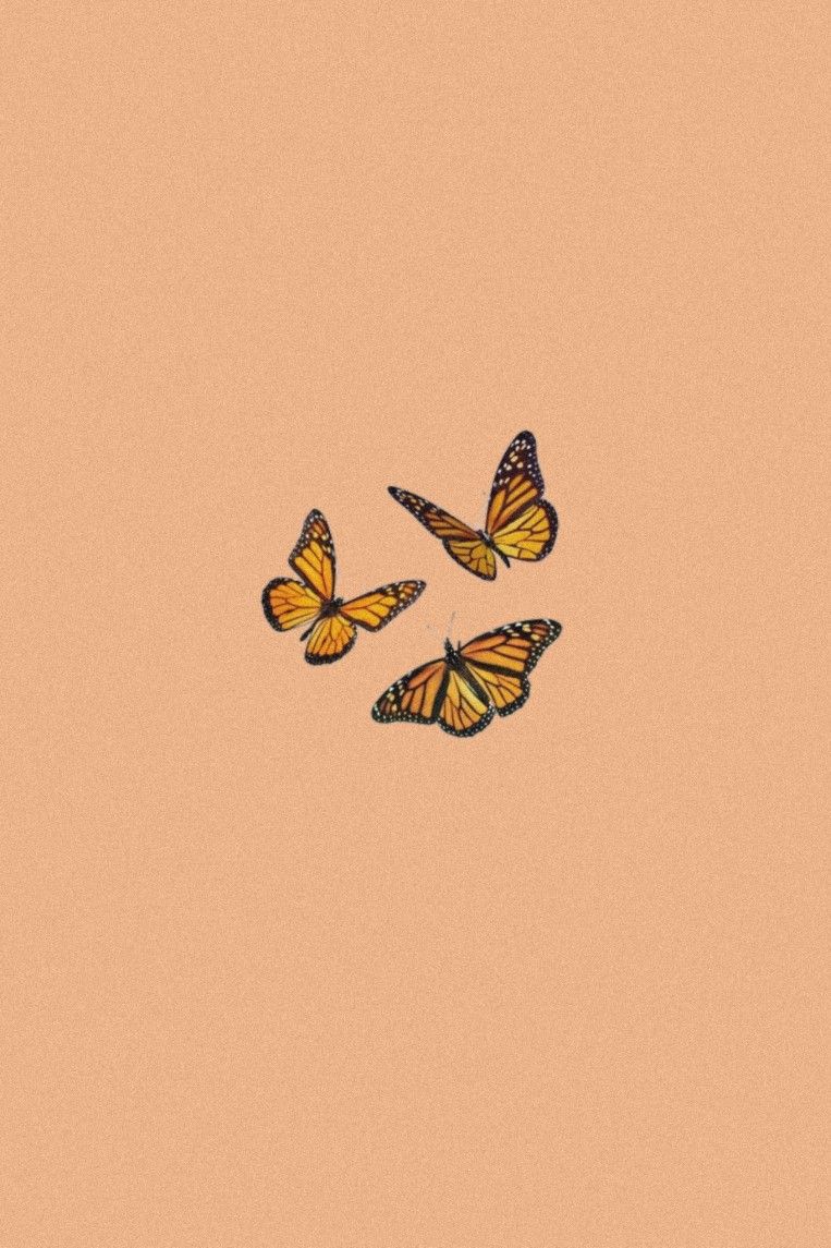 Aesthetic Orange Butterfly Wallpapers