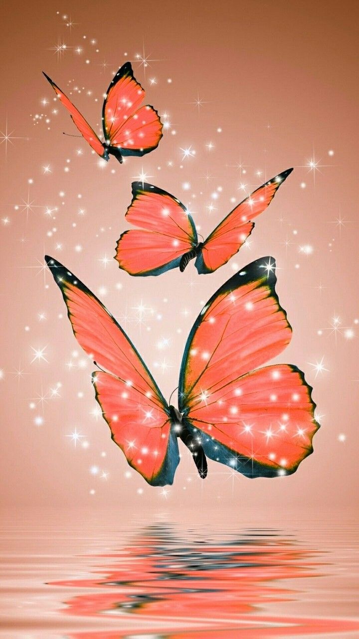 Aesthetic Orange Butterfly Wallpapers