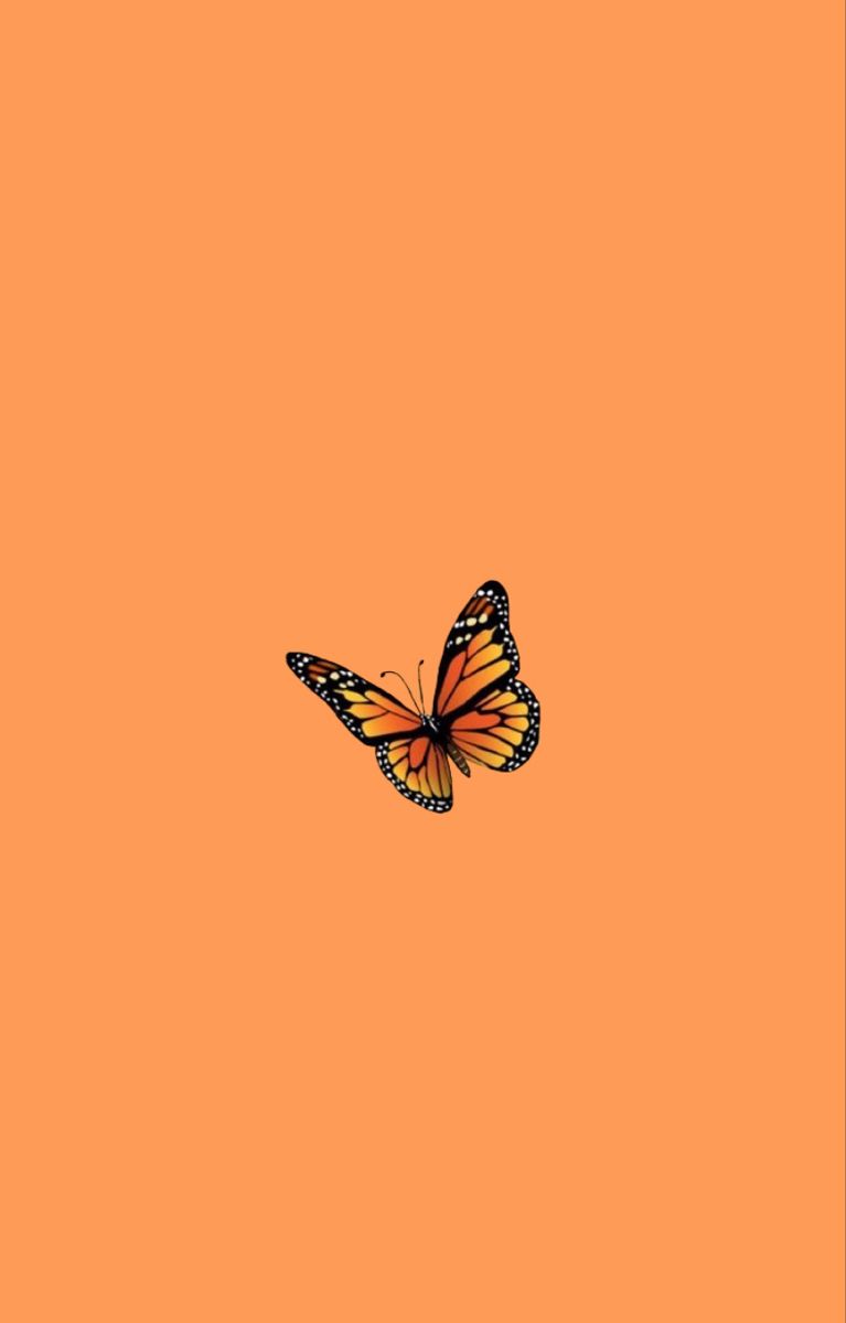 Aesthetic Orange Butterfly Wallpapers