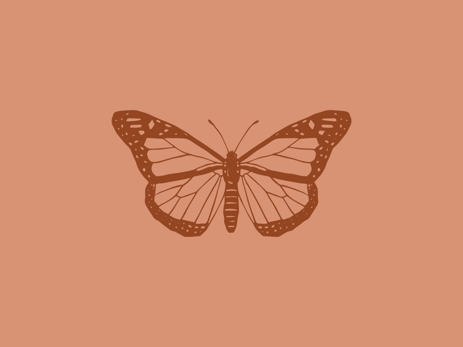 Aesthetic Orange Butterfly Wallpapers